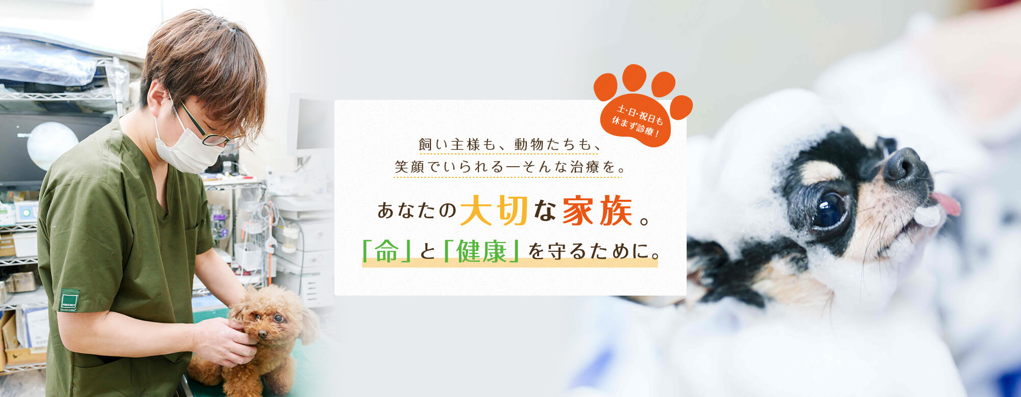 あなたの大切な家族。「命」と「健康」を守るために。