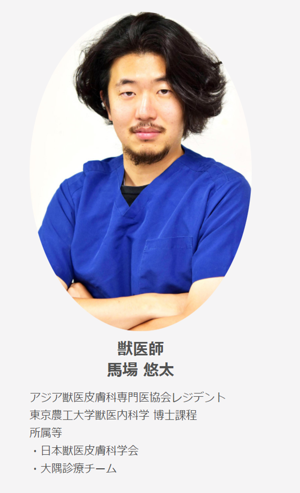 外来獣医師