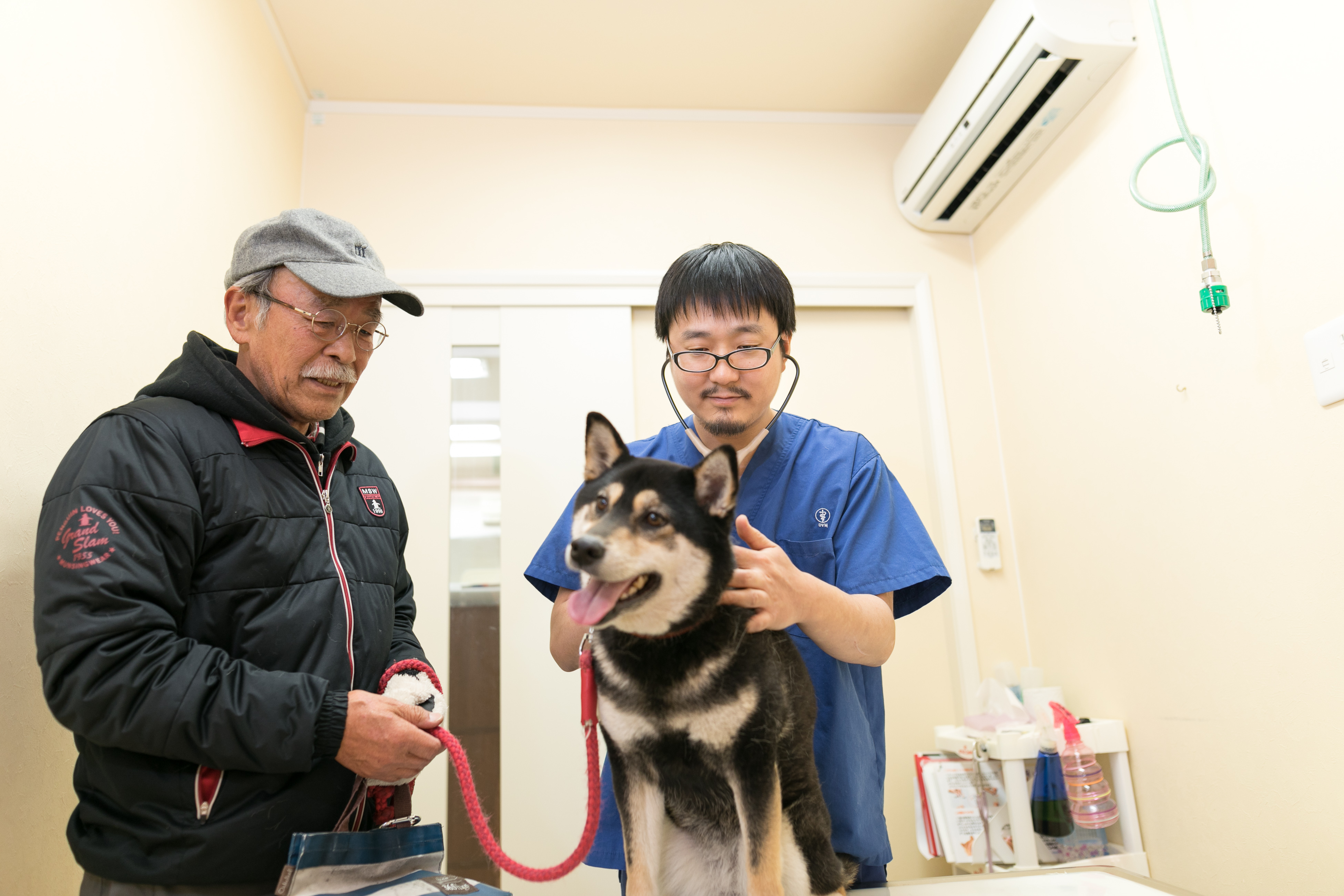 午前診療｜長町南動物病院