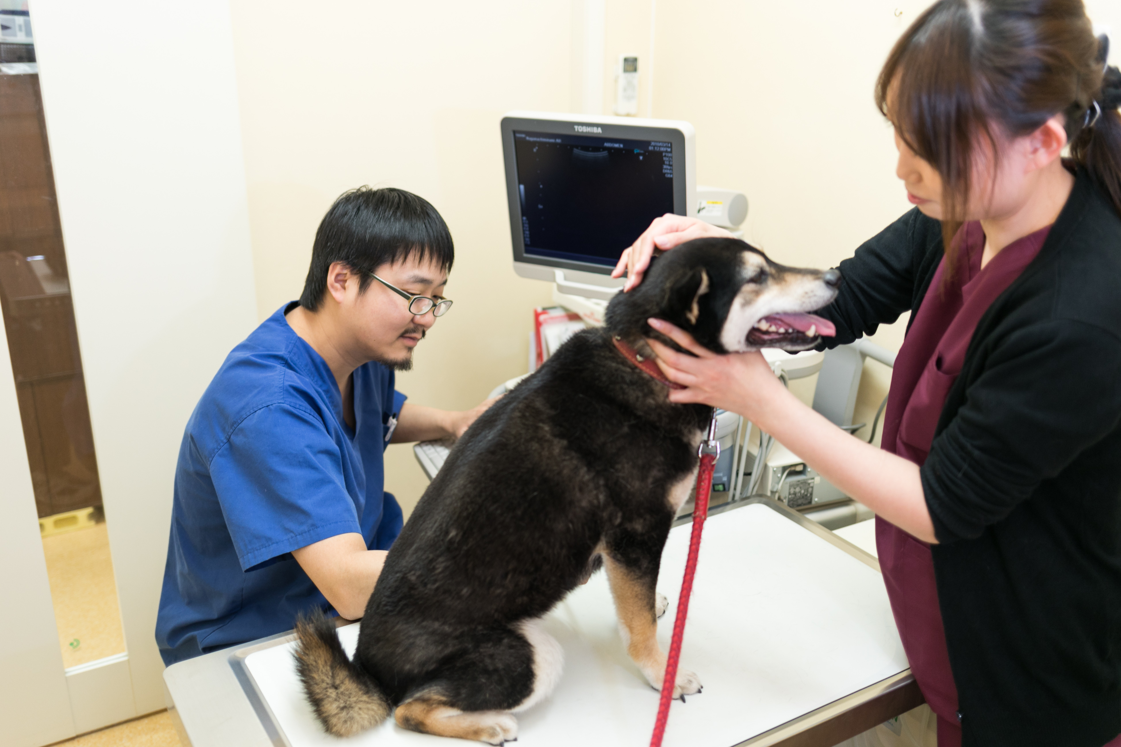 午後診療｜長町南動物病院