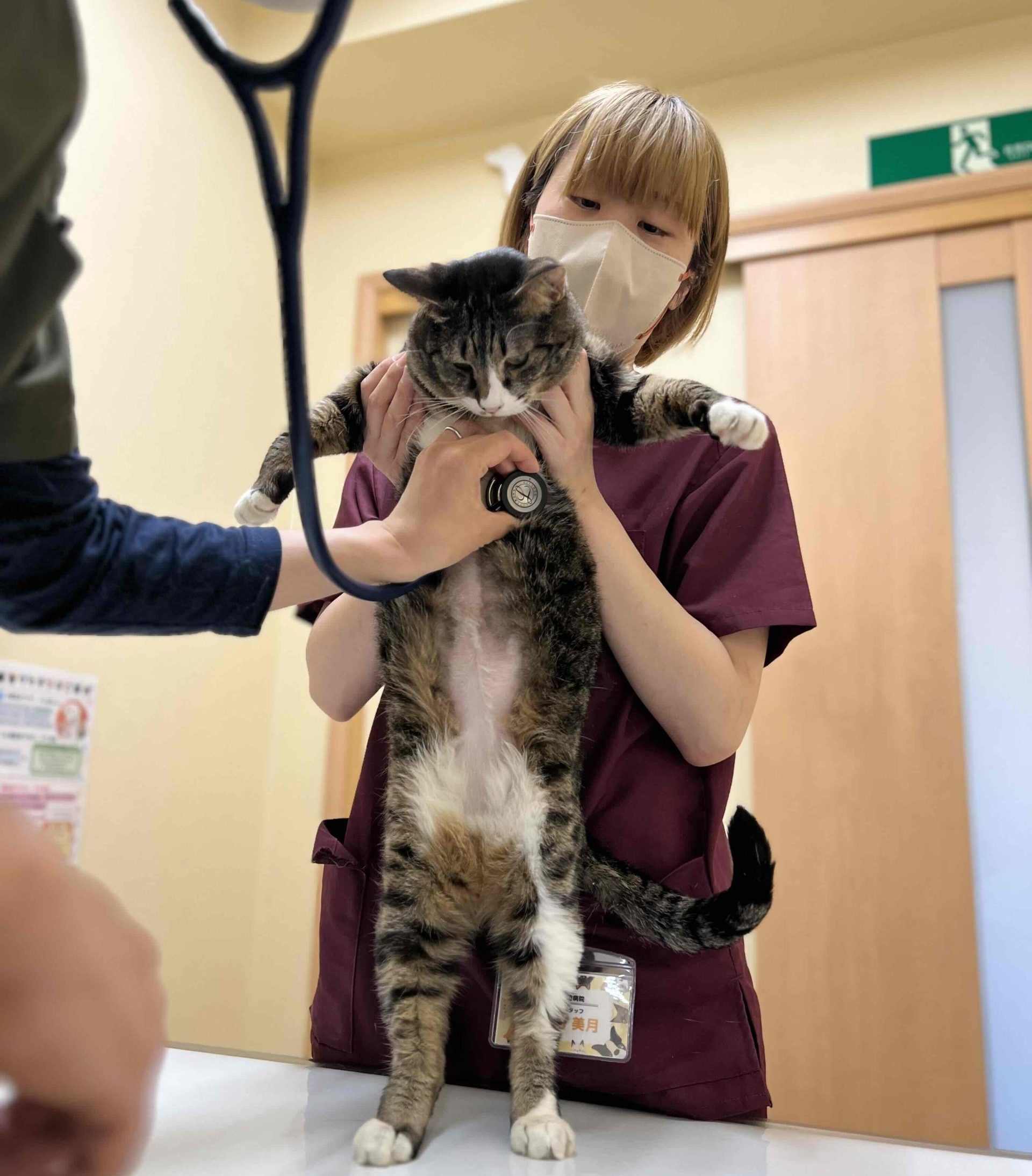 シニアの病気